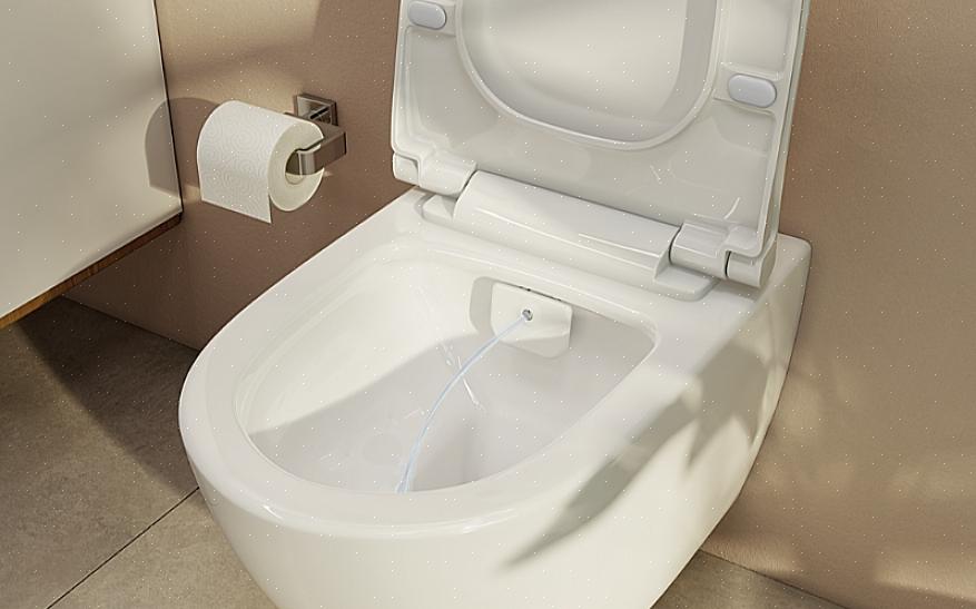Ett toalettbidsystem är en utvecklad version av den vertikala spraybidet