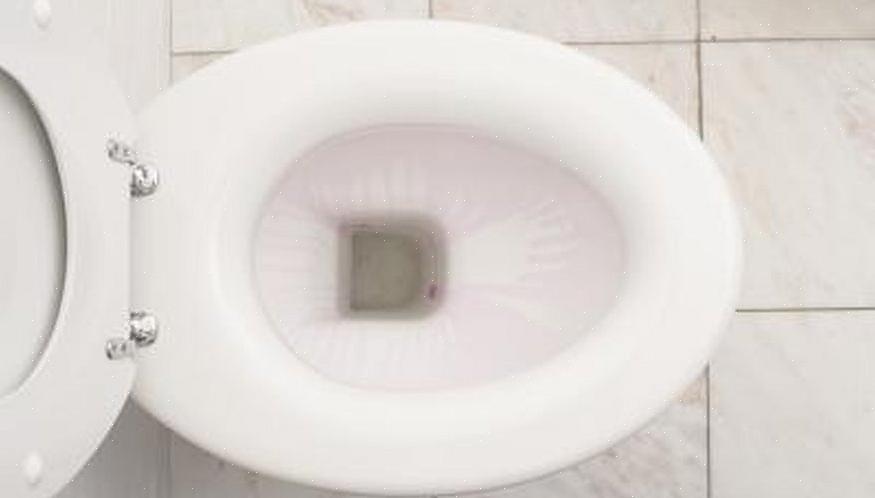 En toalettskålspricka över vattennivån måste övervakas