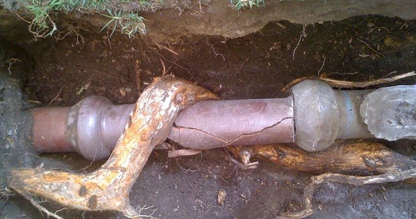 Att använda en toalettskruv utökad till marken på sex fot kan ofta nå trädrötter i toalettavloppsledningen