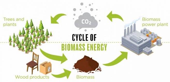 Biomassabränsle kan omvandlas direkt till värmeenergi genom förbränning