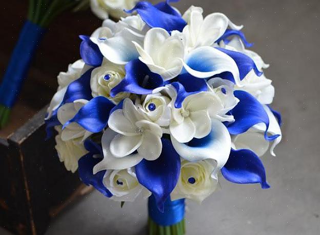 Blå dendrobium orkidéer