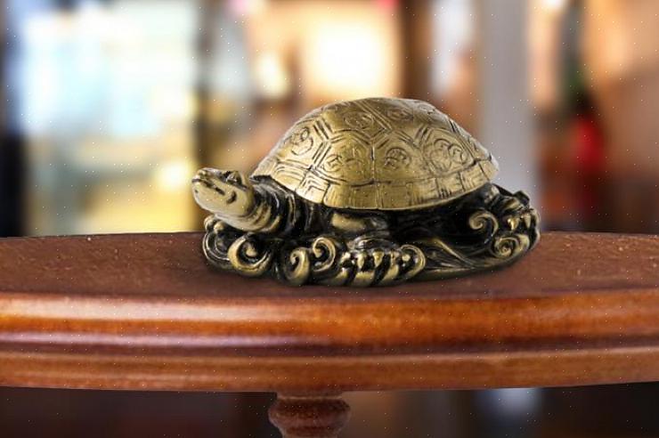 Sköldpaddan är en himmelsk feng shui-symbol som representerar stabilitet