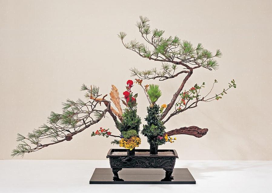 Konsten med ikebana kan göra omvända människor som en gång tyckte att blomsterarrangemang var för noga