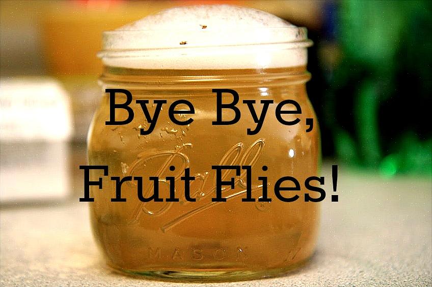 Om du inte har någon ättika till hands kan du också fånga fruktflugor genom att placera en bit övermogen