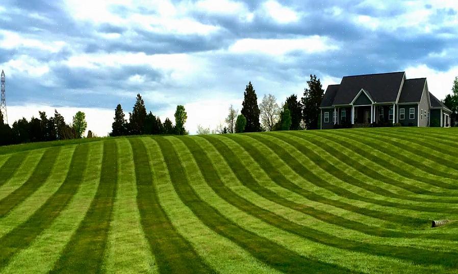 Striping är inget annat än att trycka ner gräset i en riktning