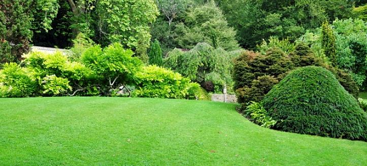Undvik marköverdrag som kan överskrida din trädgård