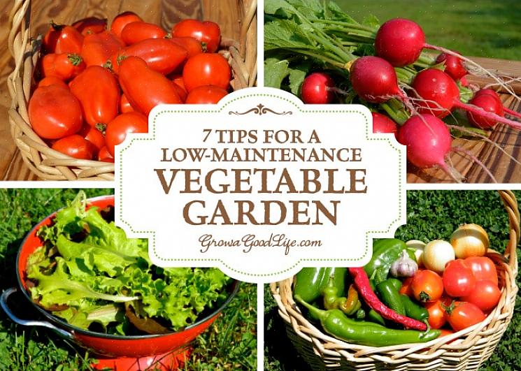 De flesta av dessa grönsaker kan odlas i behållare