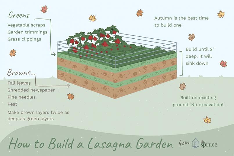 Översikt Lasagnearbeten är en ekologisk trädgårdsskötsel som inte går att gräva