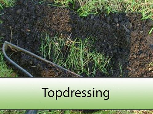 Topdressing en gräsmatta är processen att lägga ett tunt lager av material över gräset