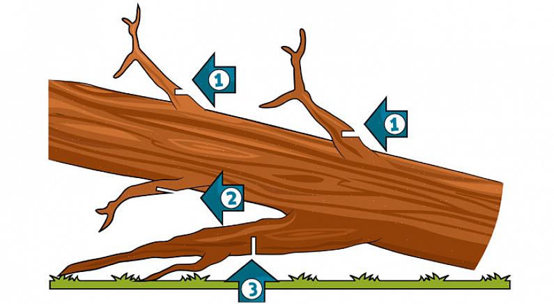 Hoppskärningar gör att lemmen beskärs att hoppa bort från både trädet