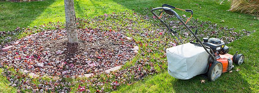 Löv i en kompostkorg behandlas annorlunda än löv i en kompostkorg