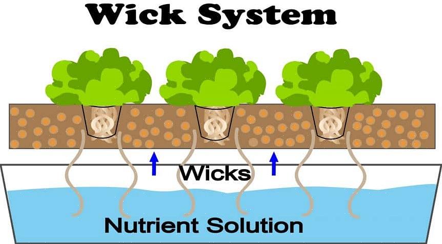 Sättet som ett Wick-system fungerar liknar salladsflottmetoden eftersom rötterna alltid är i kontakt