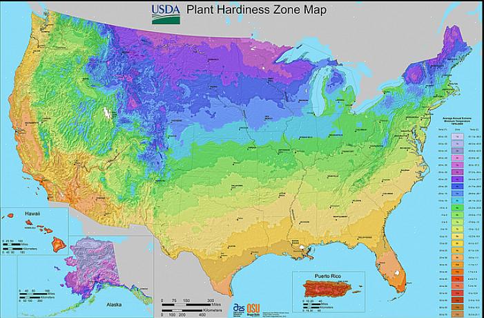 Om du inte är säker på vilka växter som kommer att trivas på din plats i North Carolina