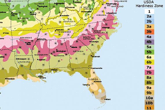 Florida USDA-hårdhetszoner