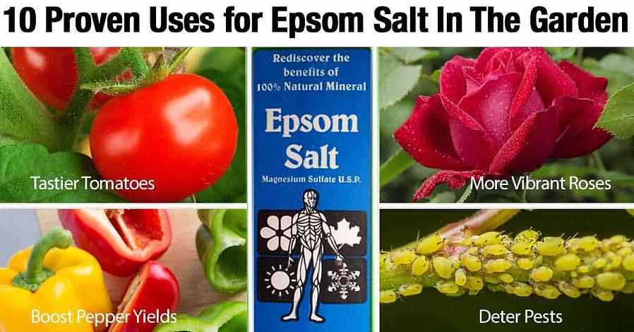 Blanda 1 matsked Epsom-salter per liter vatten