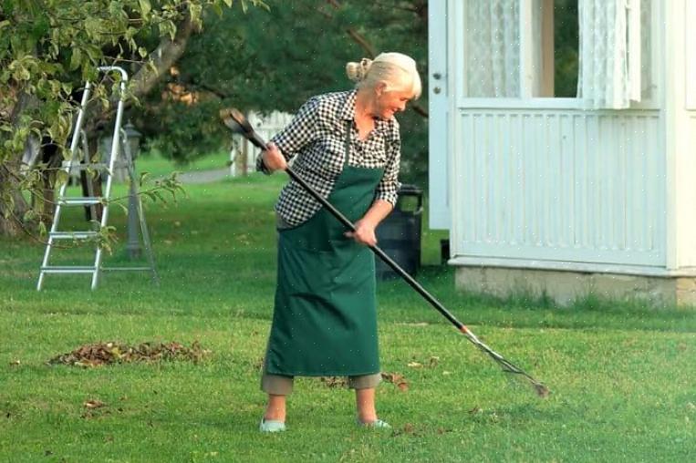 Trädgårdsskötsel är verkligen bra träning