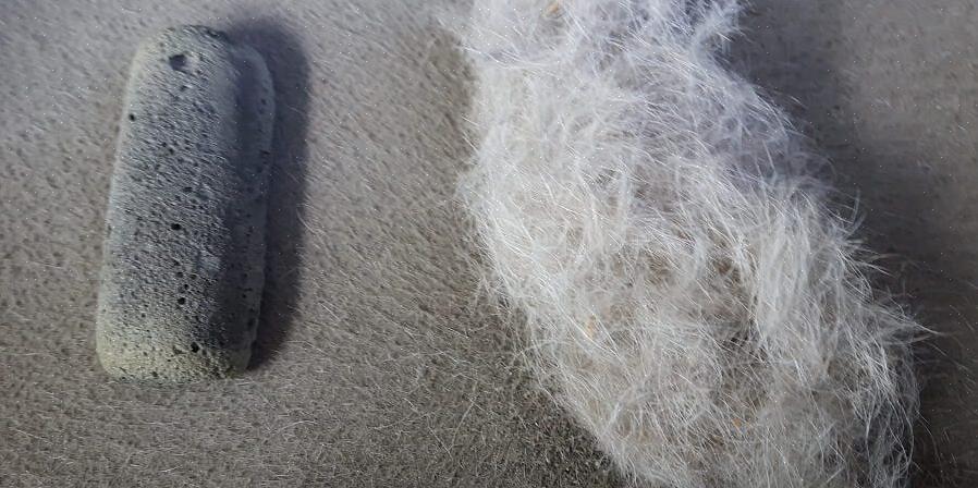 Använd en klädborste eller klibbig luddrulle för att ta bort resterande päls