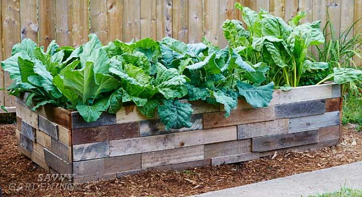 Till att börja med måste jorden i din grönsaks trädgård vara rik på organiskt material