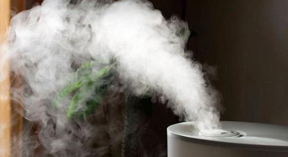 En standardåtgärd för att bekämpa torr luft är att använda en luftfuktare i hemmet