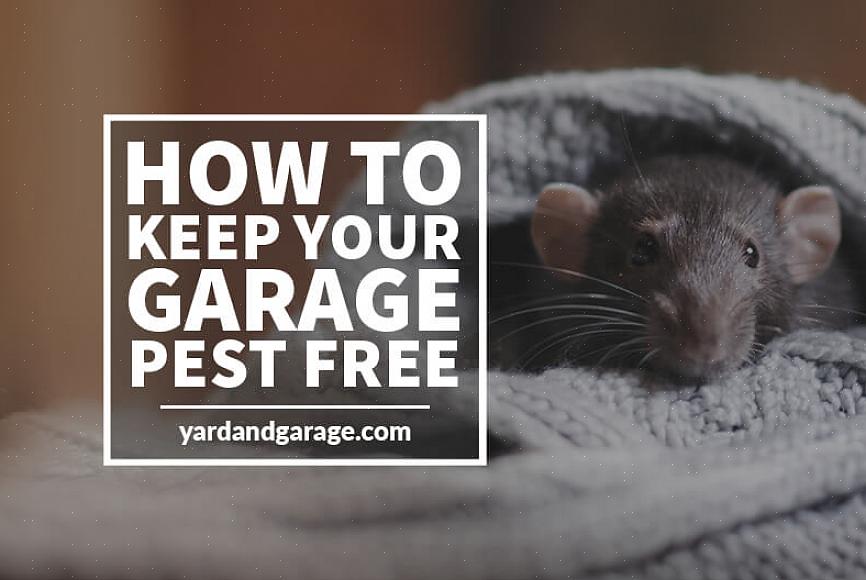 Så sparka dig inte för hårt om ditt garage utvecklar ett kackerlackaproblem