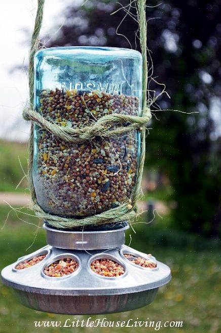 Rengöring av en babymatburk kolibri matare