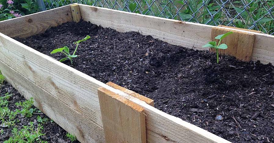 Här är instruktioner för hur du bygger din egen vedhöjda sängträdgård