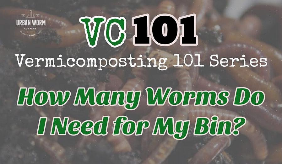 Helt enkelt söka efter "red wigglers" eller "composting worms."