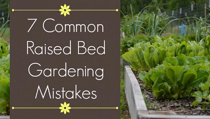 Säkerheten för att odla grönsaker i en däckträdgård har blivit ett vanligt problem eftersom återvunna däck