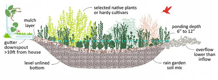 En regn trädgård är en plantering som du installerar på en låg plats i ditt landskap