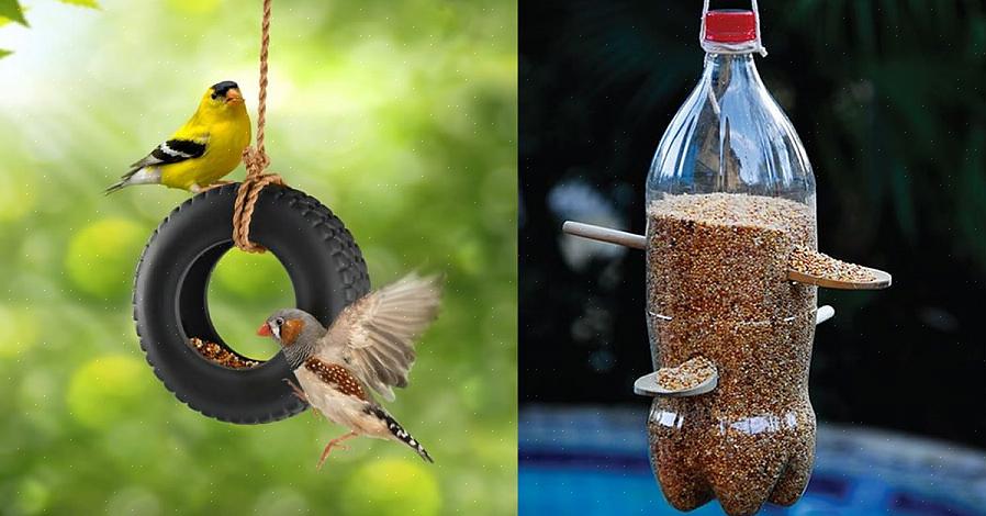 Ett stort familjeprojekt för fågelälskare gör en vanlig 2-liters plastflaska till en funktionell fågelmatare