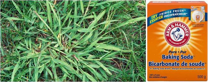Före framväxande herbicider (även kallade "crabgrass preventers") kommer antingen i granulär eller flytande