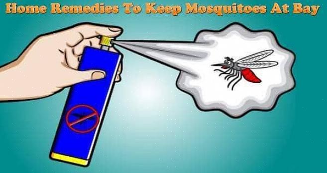 Hur kan du kontrollera eller döda mygglarver som kan lura på dessa platser