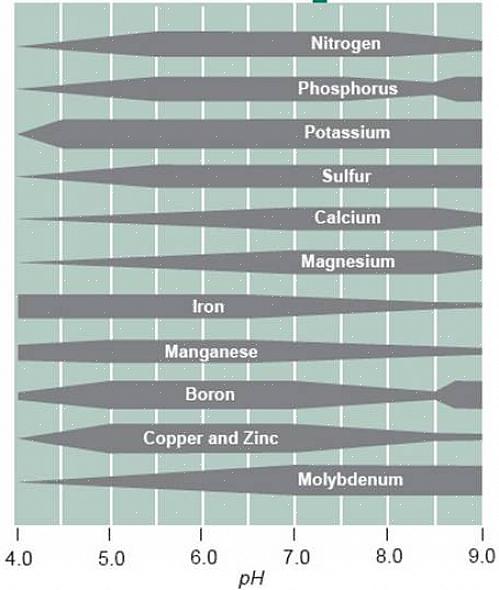 Det ideala pH-värdet för jorden för de flesta landskapsväxter
