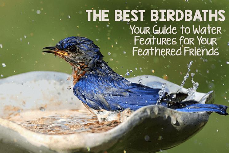 Att lägga till en eller flera vattenfunktioner i din trädgård kommer snabbt att locka fåglar