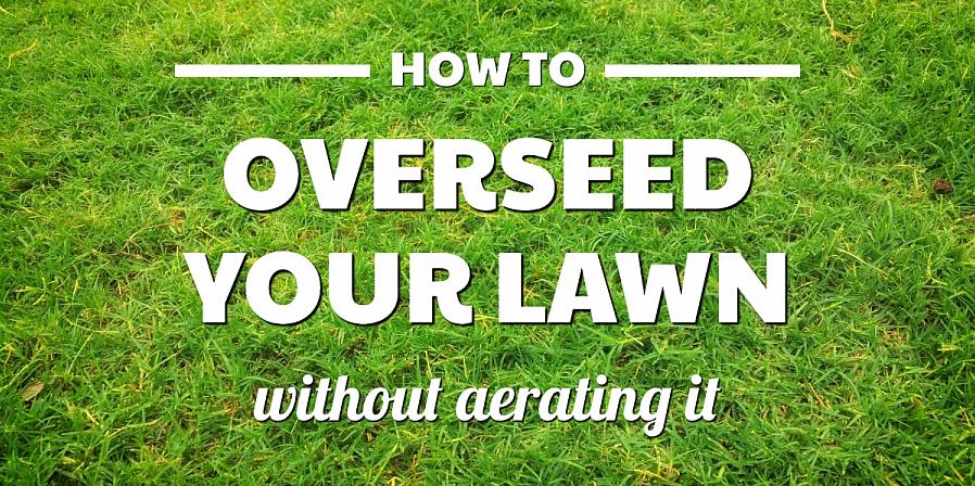 Fall är den bästa tiden att överskåda en gräsmatta eller reparera tunna eller kala områden