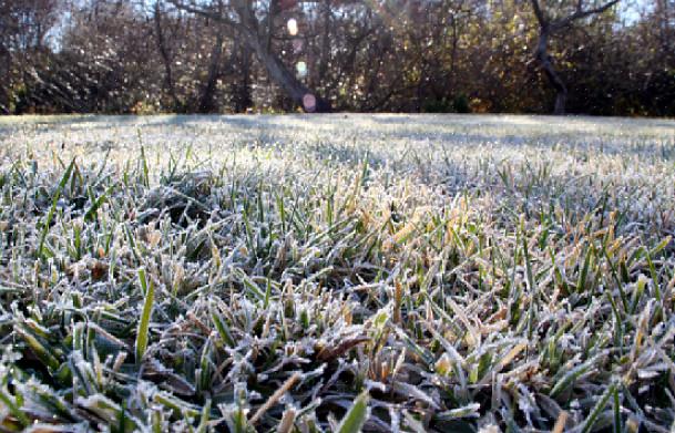 I de flesta delar av landet går gräsmattan vilande på vintern
