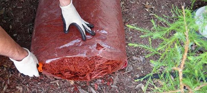 Korrekt användning av mulch hjälper alla dessa tre trädgårdselement att arbeta svårast för dig