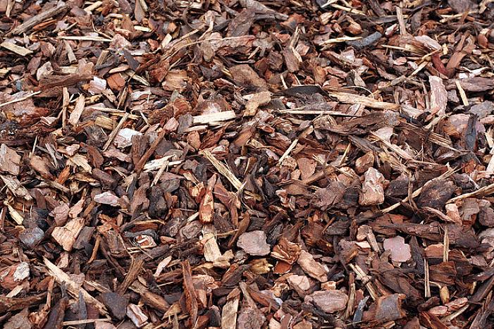 Ett lager av 7,60 cm organisk mulch brukar vara ungefär rätt mängd att använda runt växter