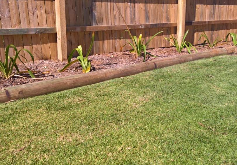 Således har de begränsad effekt som en åtgärd för att förhindra fleråriga gräs från att växa i din trädgård