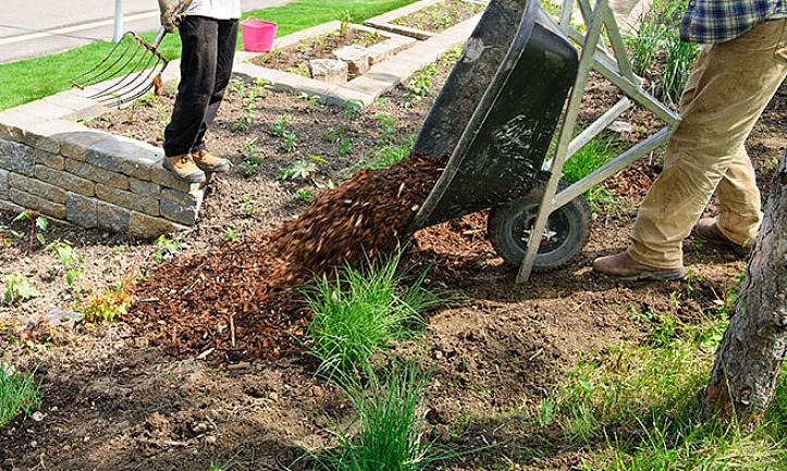 Enklare alternativ till bark-mulch för att täcka stora områden