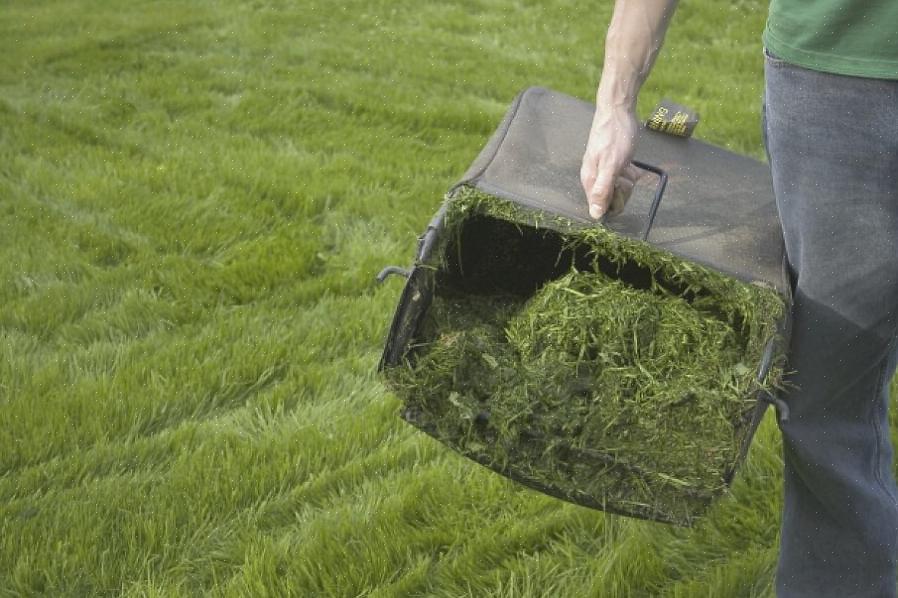 Ett bra sätt att komma runt att behöva klippa eller klippa gräsklipp är att klippa med en gräsklippare