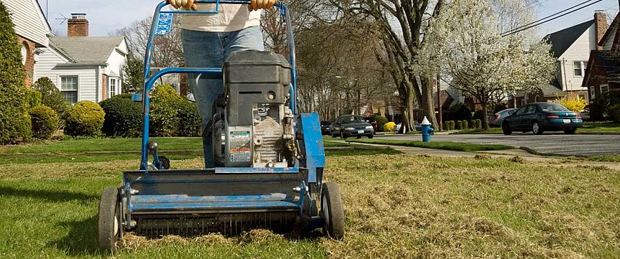 "Dethatching" gräsmattor hänvisar till det mekaniska avlägsnandet från en gräsmatta av skiktet av död