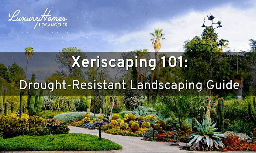 För vissa landskapsarkitekturer betyder xeriscape landskapsarkitektur helt enkelt att gruppera växter