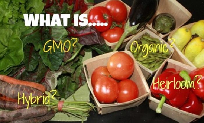 Hur kan du vara säker på att de hybridgrönsaksfrön du odlar inte är genetiskt modifierade