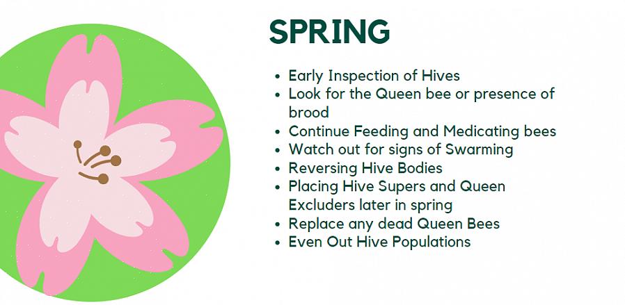 Kolla in dem på varmare dagar genom att snabbt öppna toppen av bikupan för att se till att bin