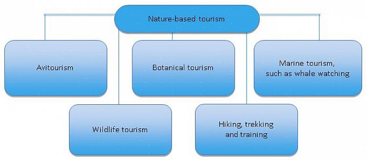 Turism som fokuserar på