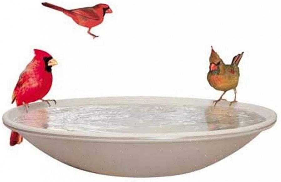 Genom att använda ett uppvärmt fågelbad på lämpligt sätt är det enkelt att förse fåglar med tillräckligt