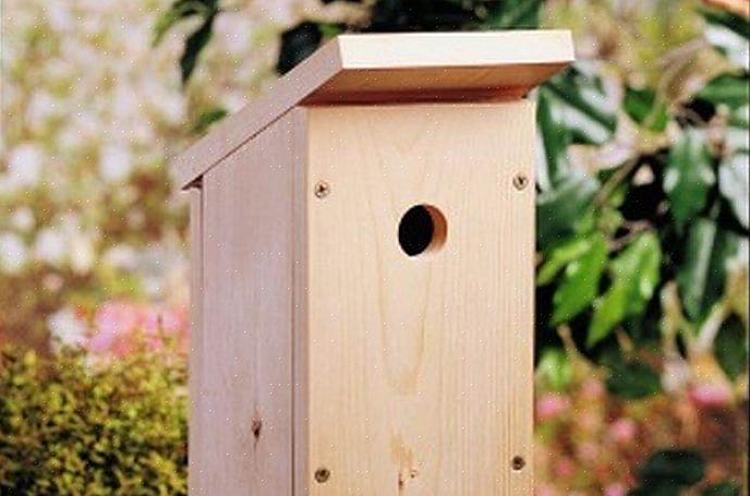 Innan du bygger ett fågelhus måste du förstå vad häckande fåglar behöver