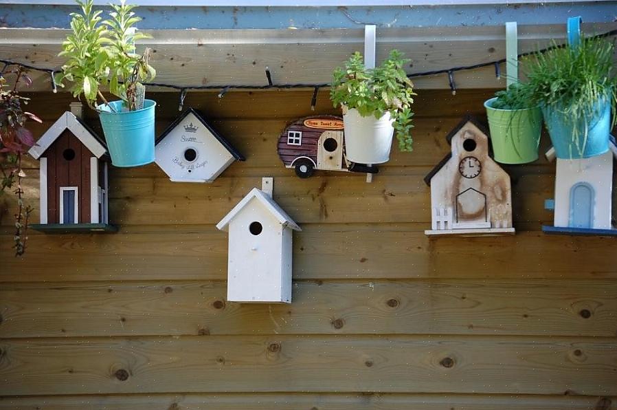 Birdhouse kit är ett utmärkt alternativ för att bygga ett fågelhus om du inte har mycket träbearbetning