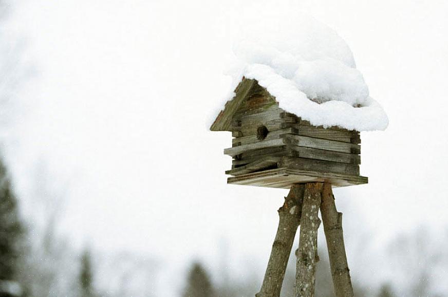 Det är enkelt att konvertera fågelhus till vinterfågelhus